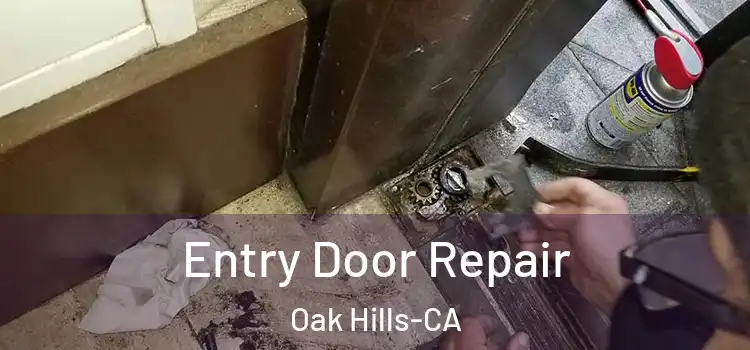  Entry Door Repair Oak Hills-CA