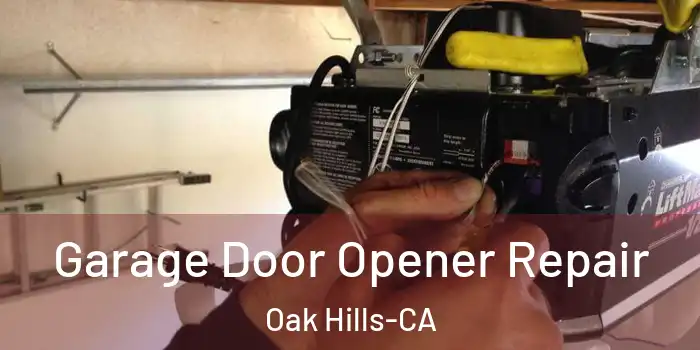  Garage Door Opener Repair Oak Hills-CA