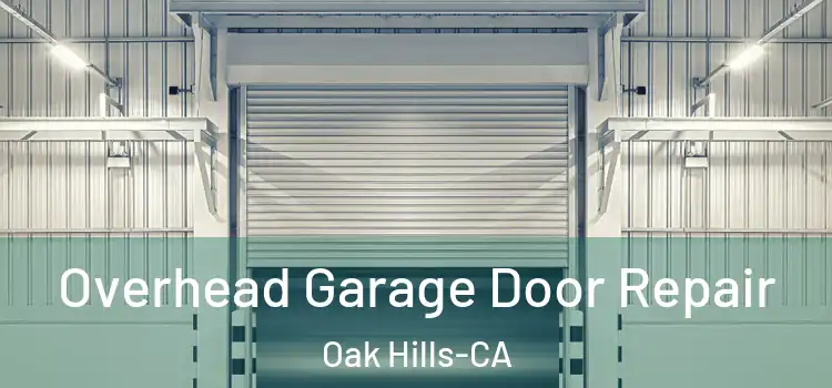  Overhead Garage Door Repair Oak Hills-CA