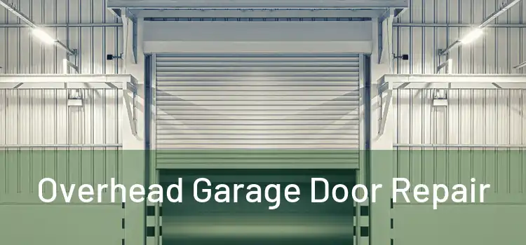  Overhead Garage Door Repair 